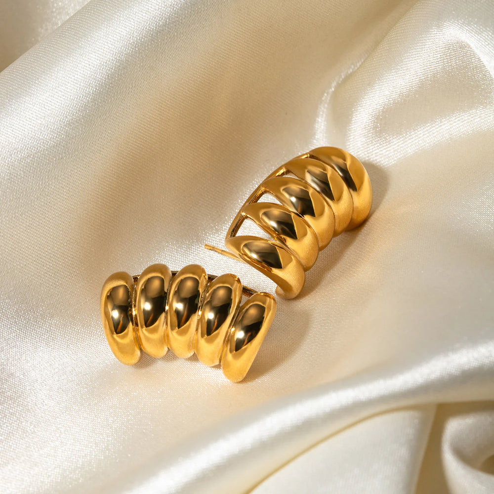 EarringsCluster