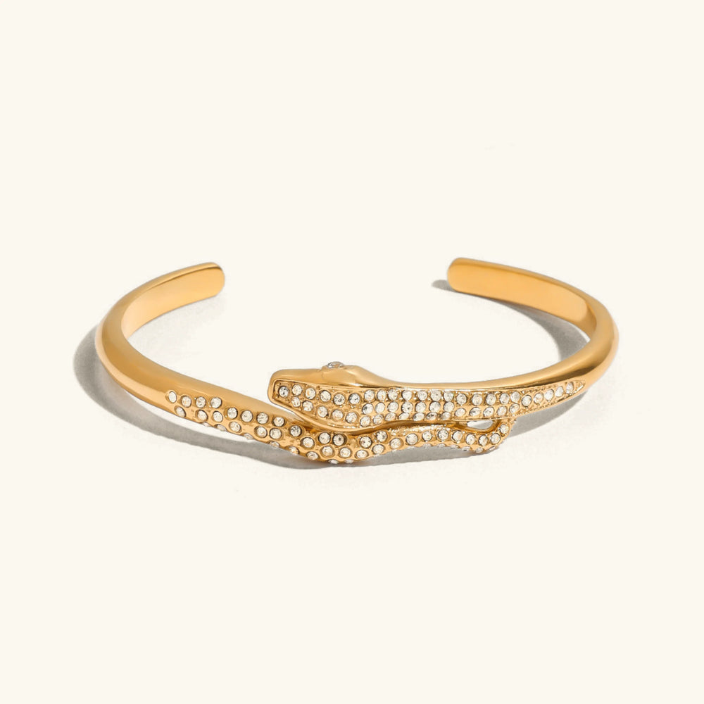 Bracelet Snake