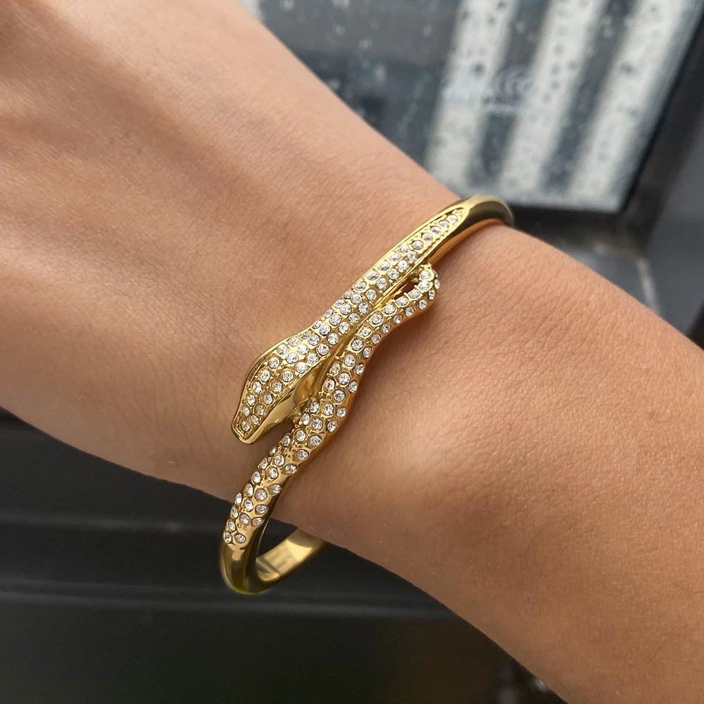 Bracelet Snake
