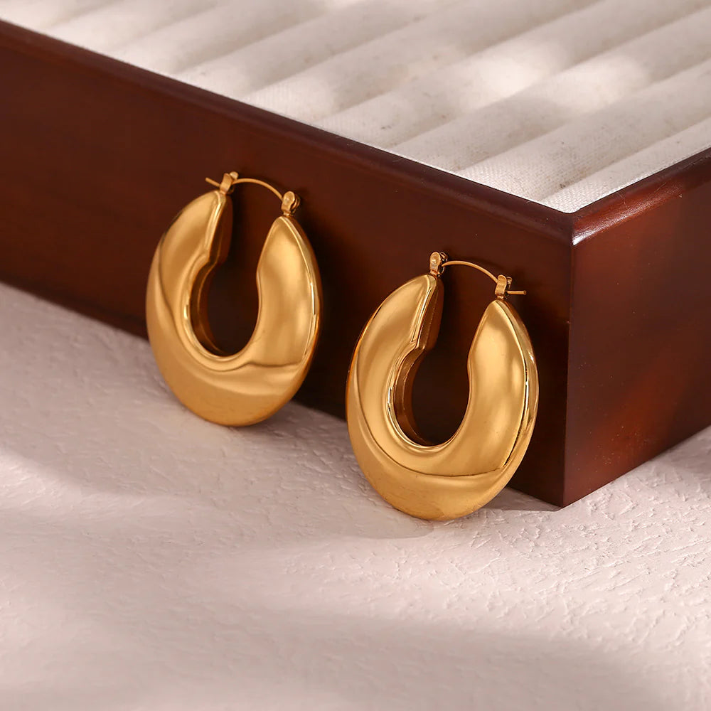 Earrings Chunky Hoops
