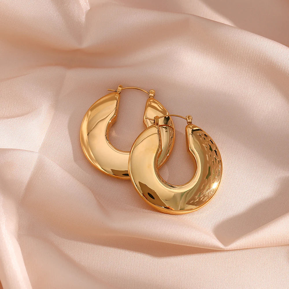 Earrings Chunky Hoops